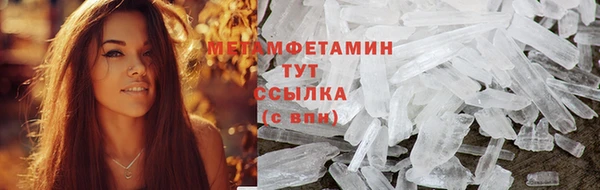 индика Володарск