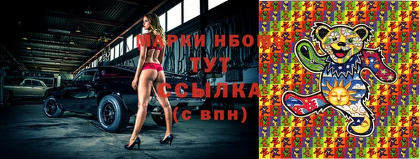 индика Володарск