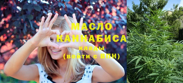индика Володарск