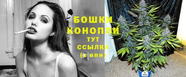 индика Володарск