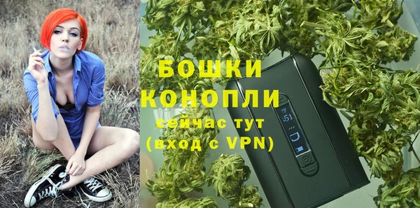индика Володарск