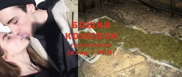 индика Володарск