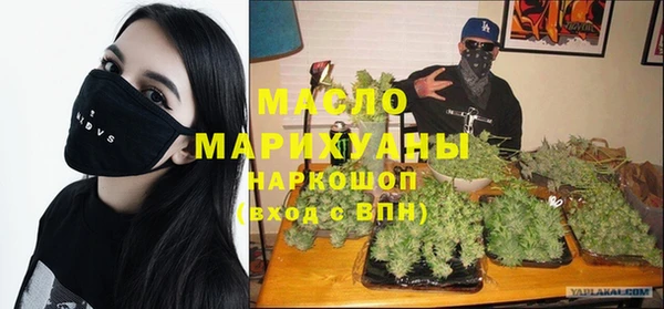 индика Володарск