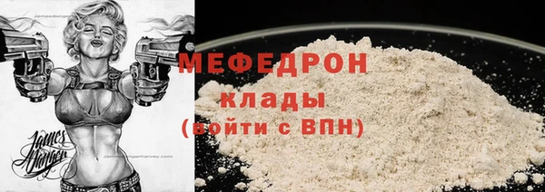 индика Володарск